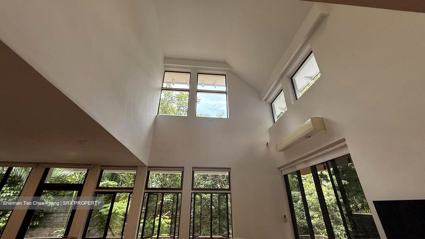 Leedon Park (D10), Detached #497433451